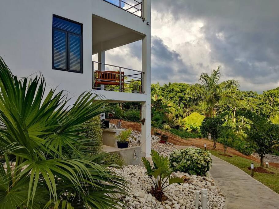 The Willow Apartment Ocho Rios Eksteriør bilde