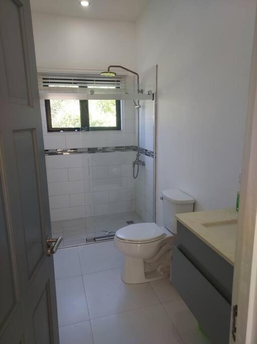 The Willow Apartment Ocho Rios Eksteriør bilde