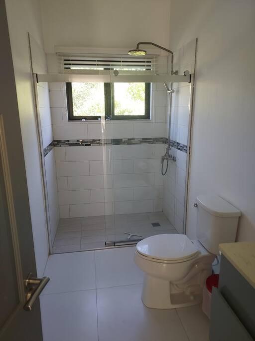 The Willow Apartment Ocho Rios Eksteriør bilde