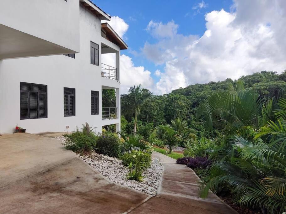 The Willow Apartment Ocho Rios Eksteriør bilde