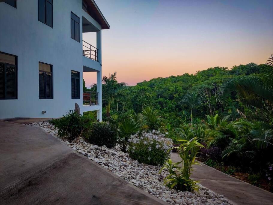 The Willow Apartment Ocho Rios Eksteriør bilde
